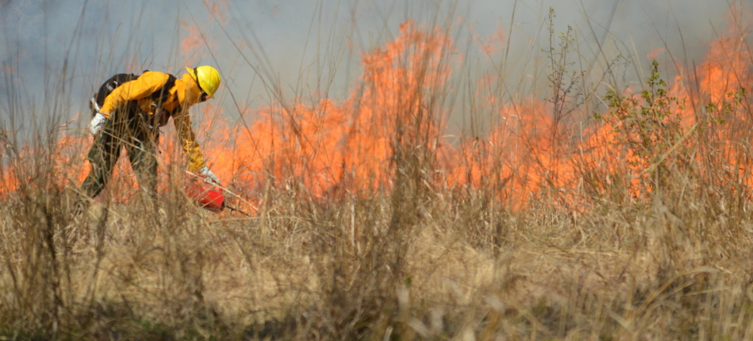 A person wearing yellow protective clothing pours fluid onto the brush in a field, with an orange fire burning behind them.