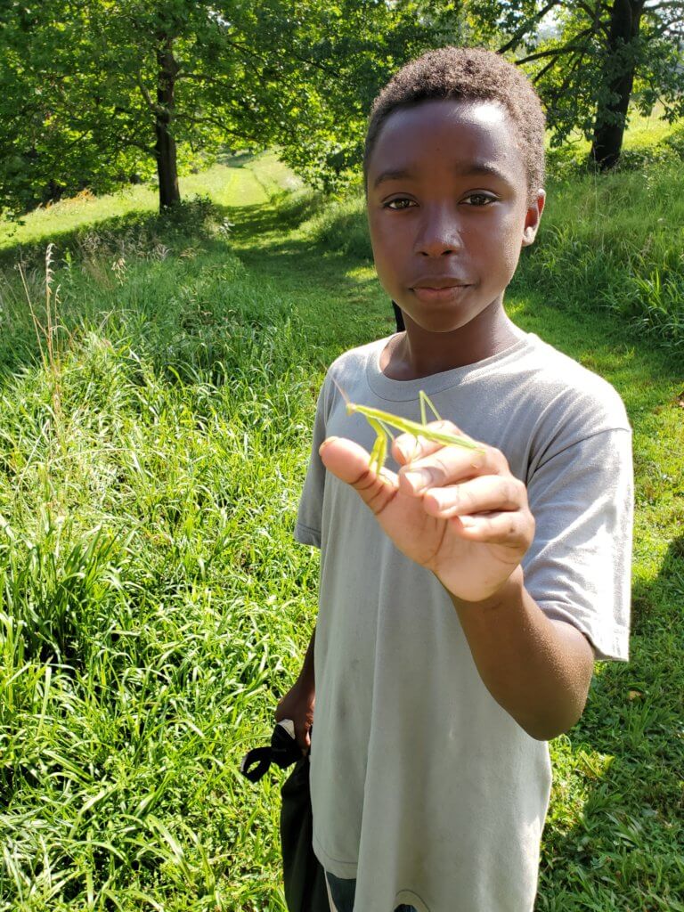 A child holds a preying mantis in his hand on a green trail
