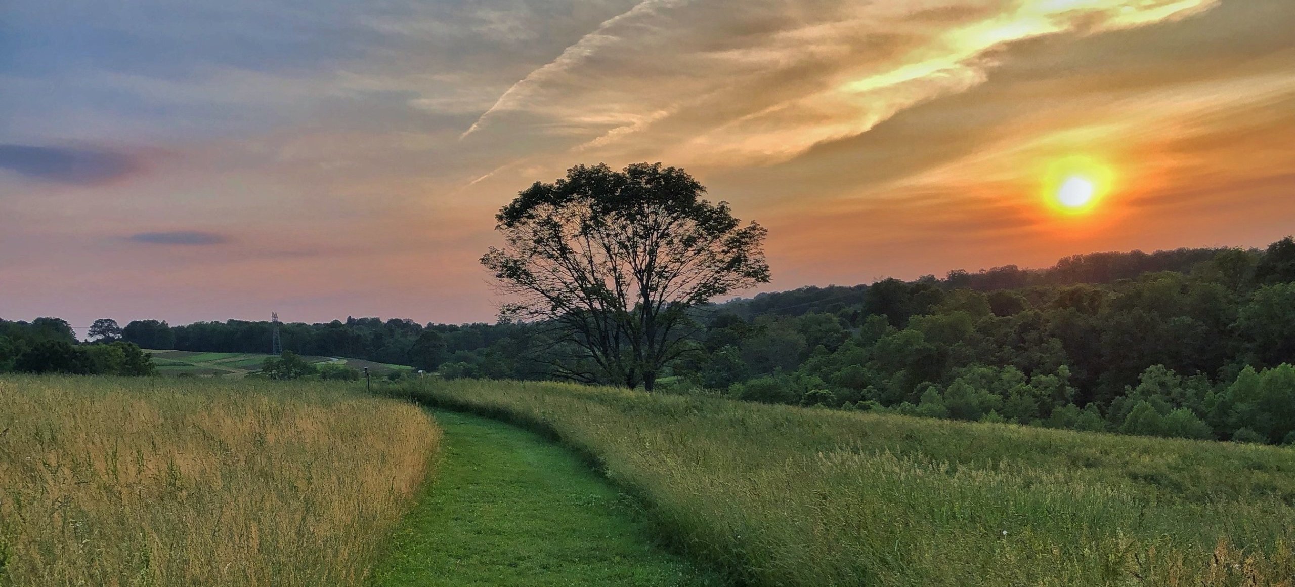 Natural Lands | land for life. nature for all.