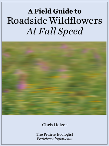 A Feild Guide to Roadside Wildflowers At Full Speed Book Cover.