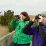 Two people with binoculars look away from the camera in a natural setting.