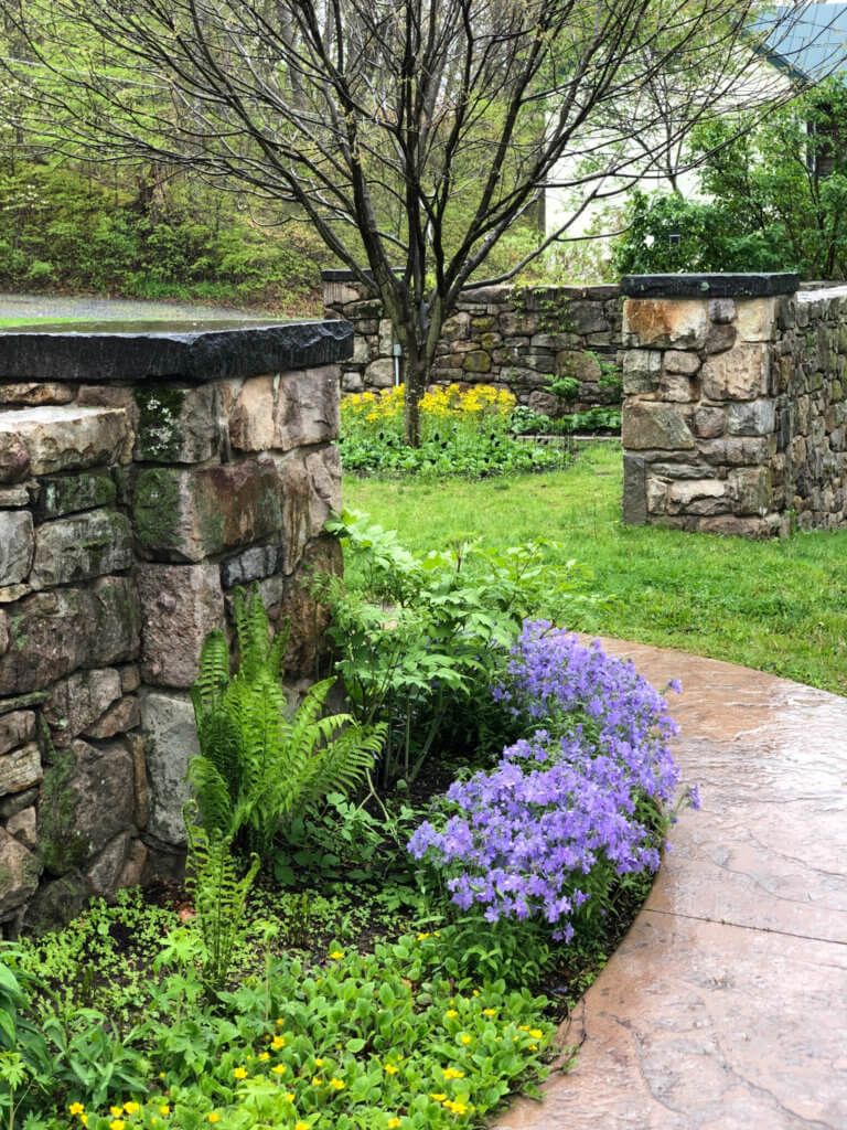 A spring garden of ferns and yellow and purple flowers next to a stone wall.