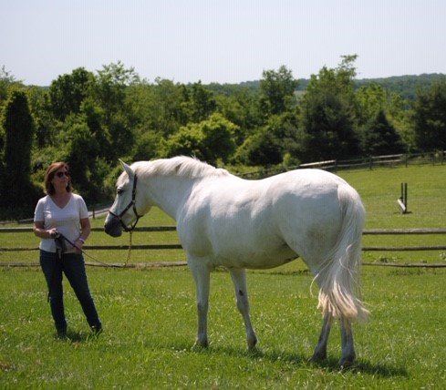A woman holds a white horse by the reins outside in a natural setting.