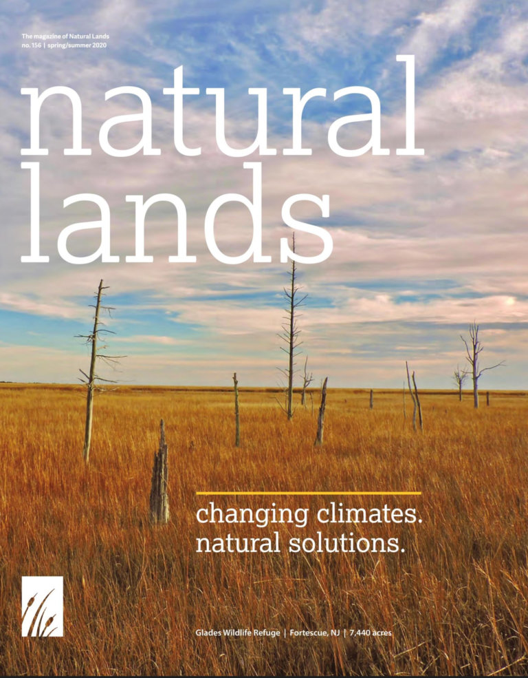 Magazine cover with dead trees in a brown meadow and words natural lands, changing climates. natural solutions on it.