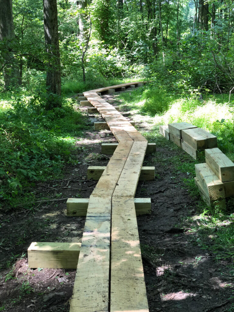 A wooden boardwalk winds through a green forest.