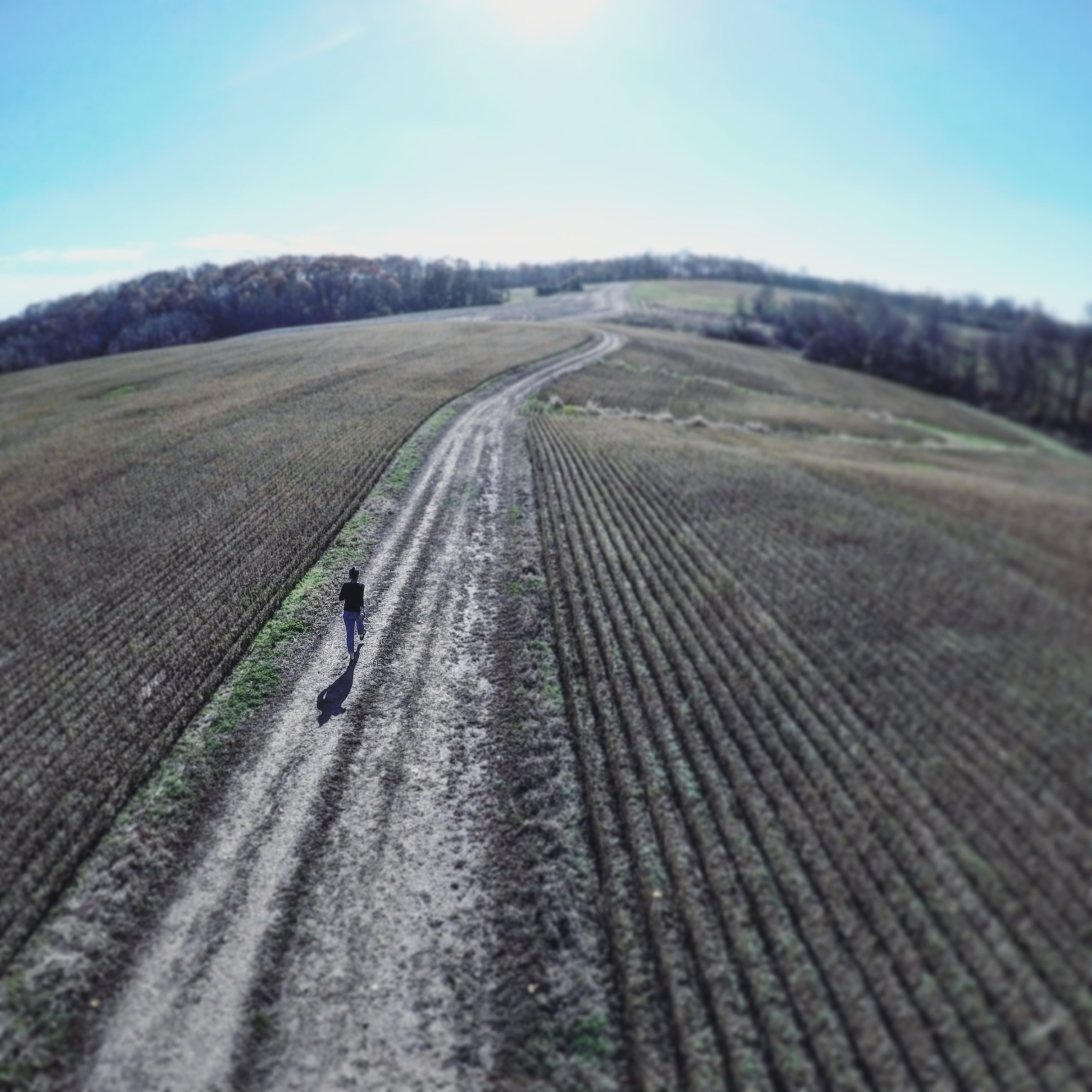 Drone photo of a runner with a long shadow on a trail in the middle of agricultural fields