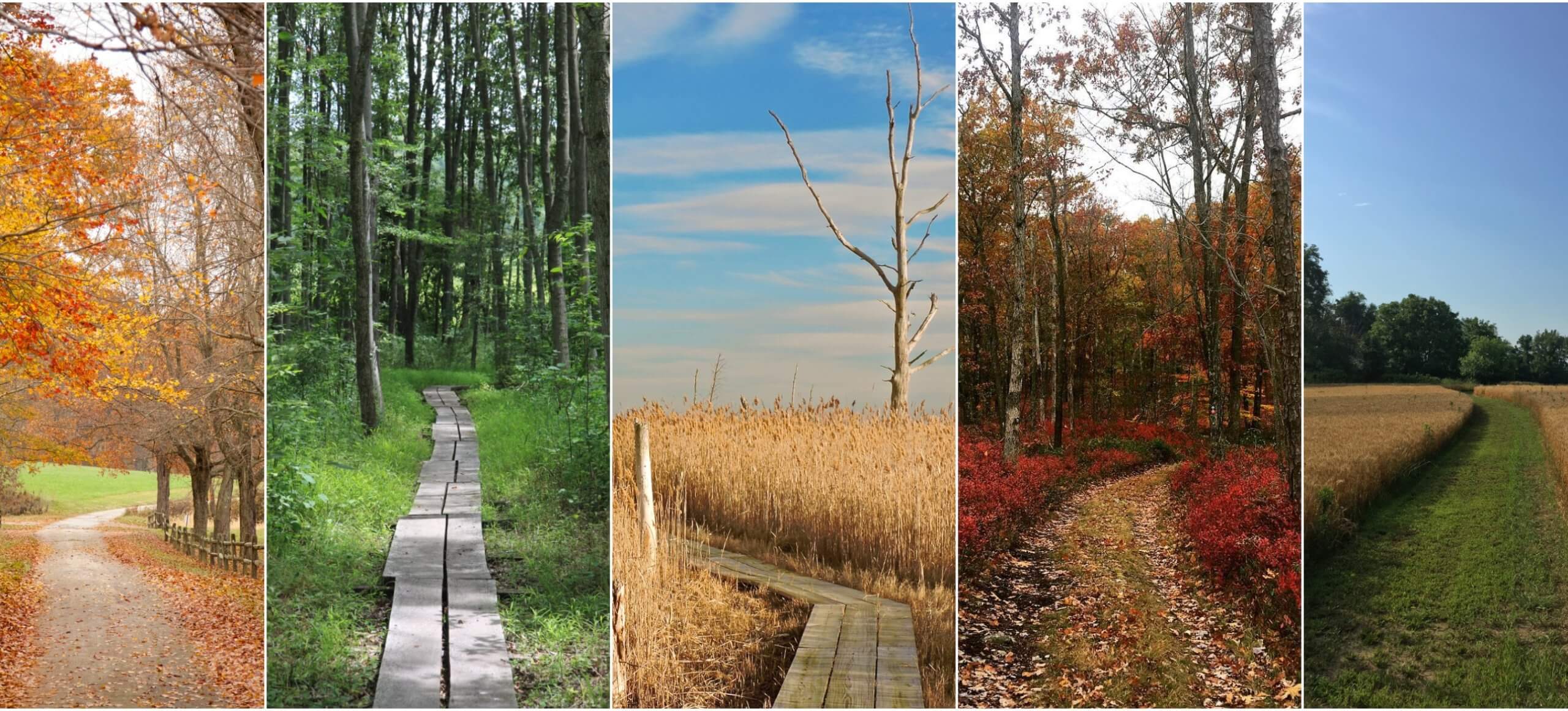 A collage of trails in natural settings