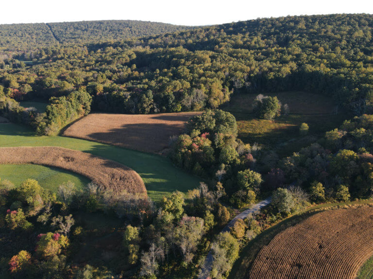 A drone photo of autumn landscape of fields and forest.