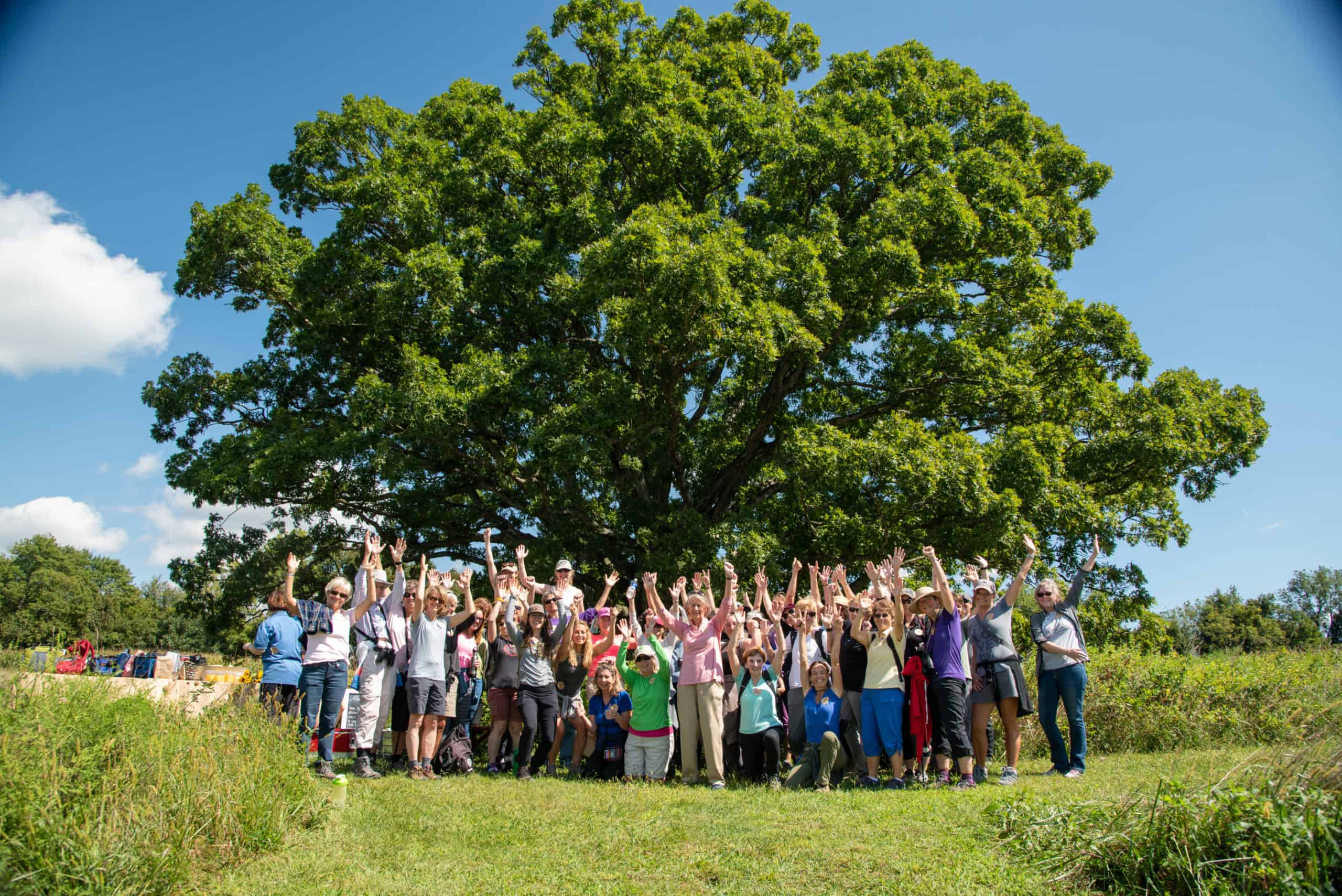 A group of people stand and knee with their arms up in front of a large oak tree on a sunny day.