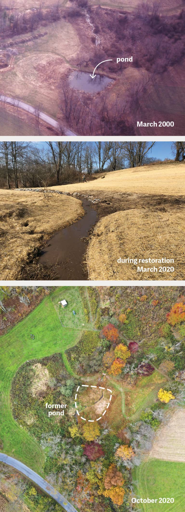 Three photos over time of an aerial view of a natural area where the pond was removed and the vegetation restored