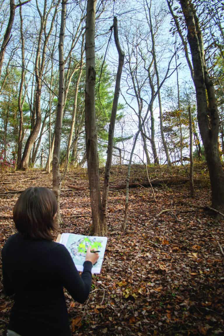 A woman with brown hair with her back to the camera holds a pen and a clipboard looking into a woodlands with green trees and leaf litter below