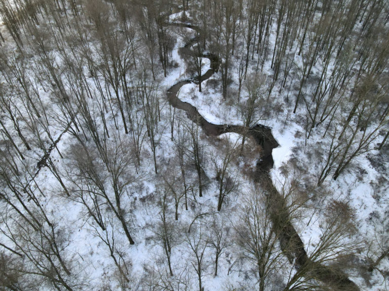 A drone photo of a snow covered forest with a stream winding through it as seen from above.
