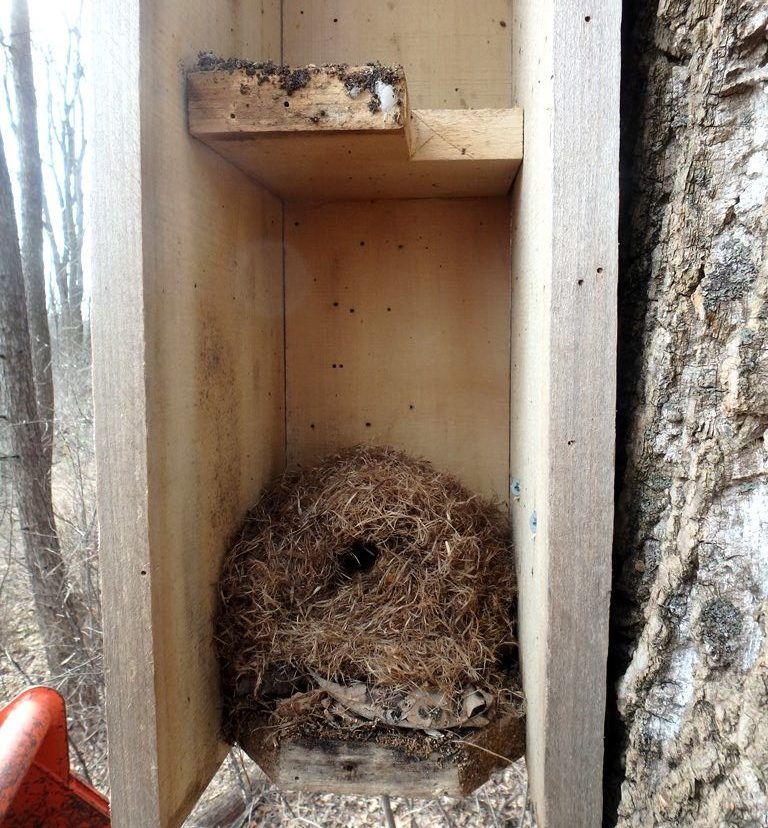 FLYING Squirrel.FLYING SQUIRREL House FLYING SQUIRREL Nesting Box.FOR SQUIRRELS