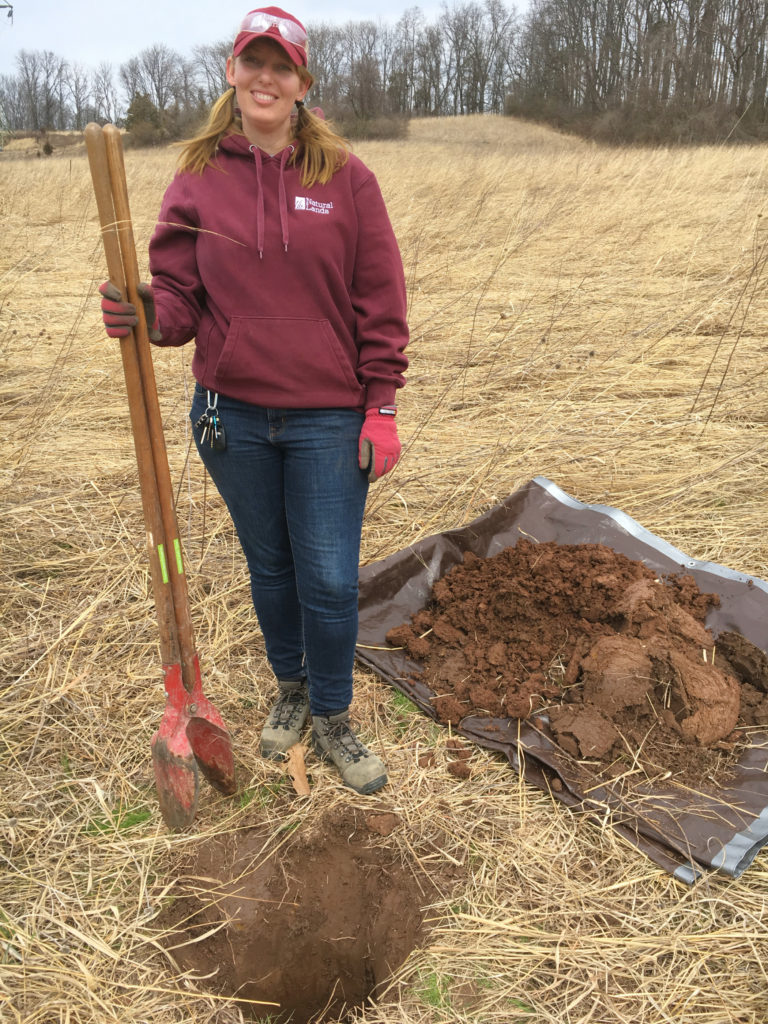 A woman holds a shovel standing next to a hole and a pile of dirt in a feild.