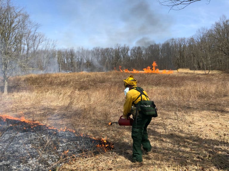 A man in fire gear lights a fire in the dried meadow grasses with a flame torch. In the background, there is a controlled fire and a pick up truck