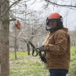 A woman in protective gear with a power pole saw pruning tree branches