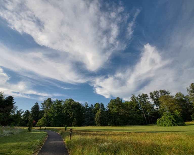swirling white clouds in a blue sky above a narrow paved walkway through a meadow with trees in the backdrop