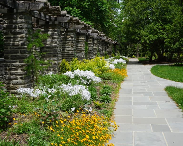 A stone pergola bordered by yellow and white native flowers and a flagstone path