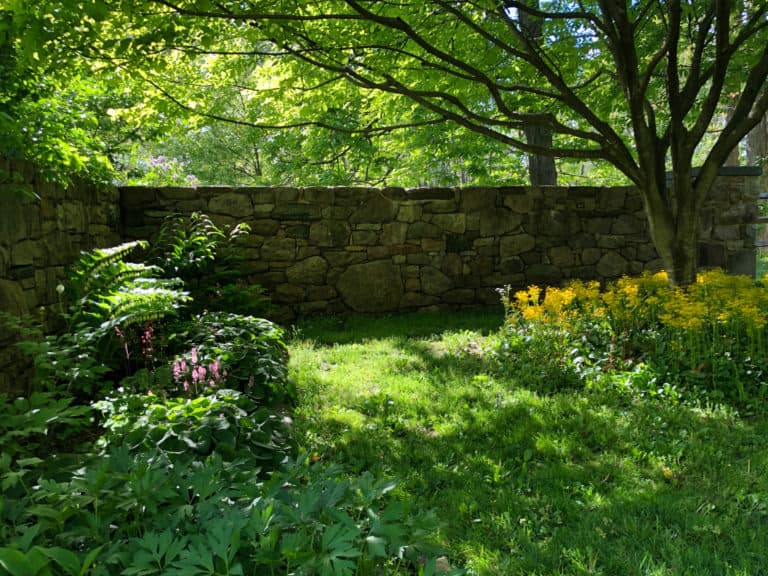 a peaceful garden scene with various blooming perennial plants with a stone wall in the background as well as several understory trees