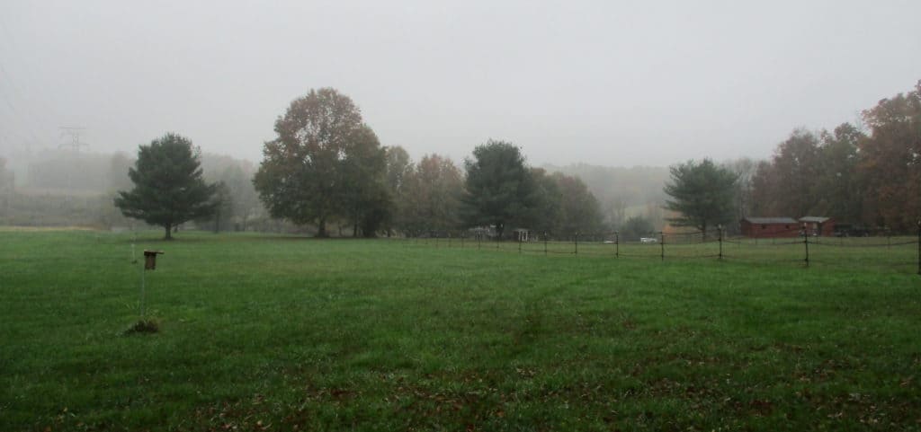 Misty photo of a farm with grassy meadow, bluebird box, a few trees, and farm buildings