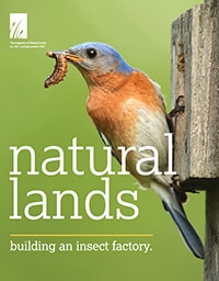 cover of the spring/summer 2021 Natural Lands magazine
