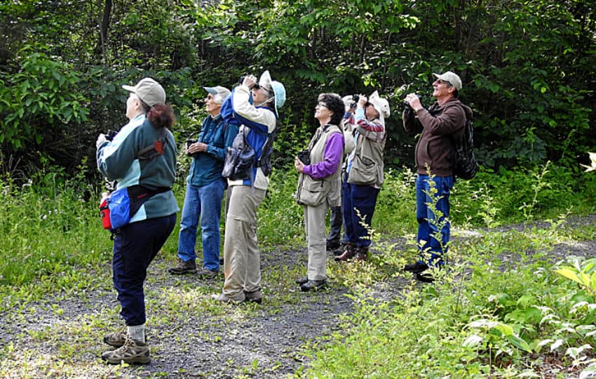 A group of seven adults on a dirt trail in the woods with binoculars looking up at the sky