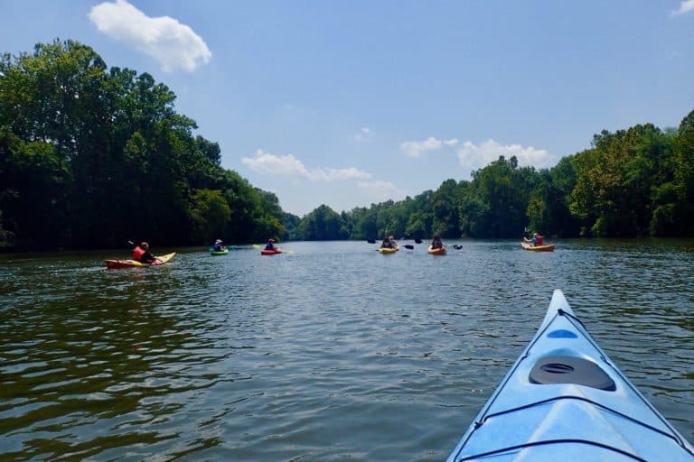 Photo taken from a kayak of seven other kayaks ahead on a placid stream with forested banks