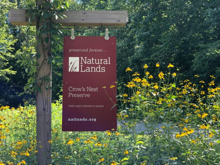A Crow's Nest Preserve sign in the foreground on a wooden post with yellow wildflowers growing all around