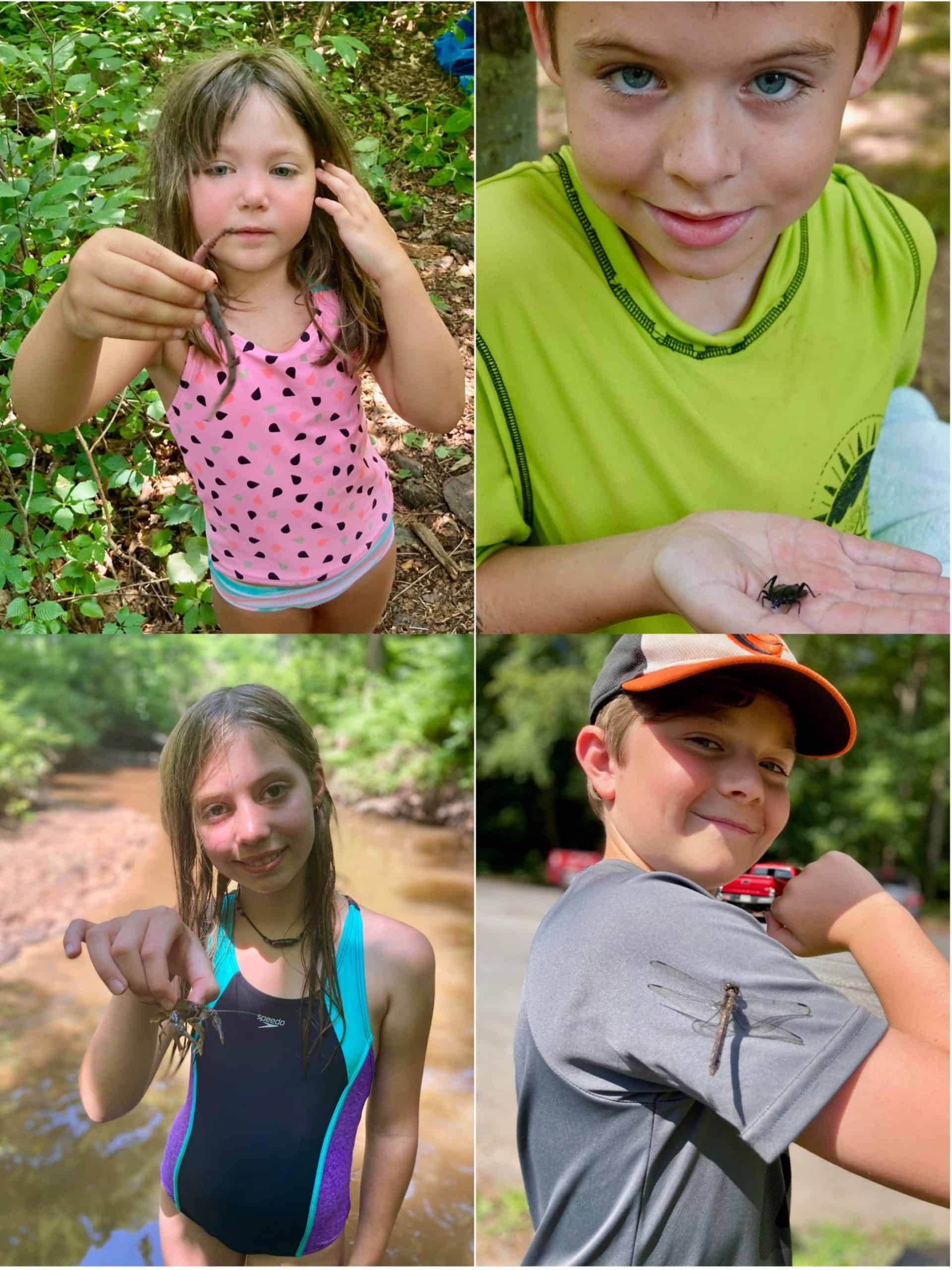 A collage of pictures of kids at camp holding crayfish or insects