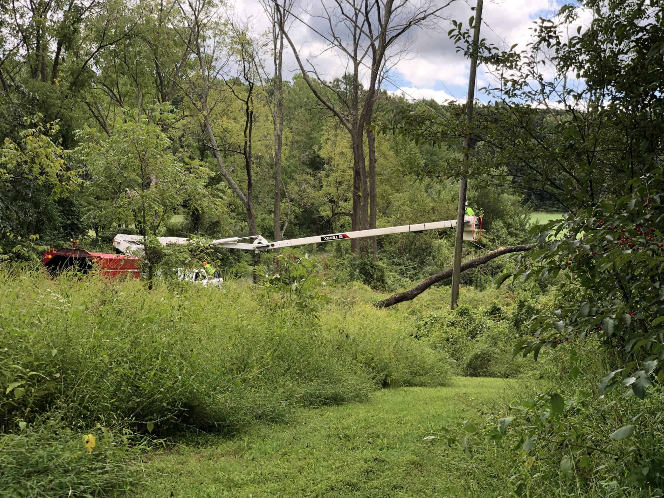 Tree company bucket truck cutting fallen tree off of utility lines