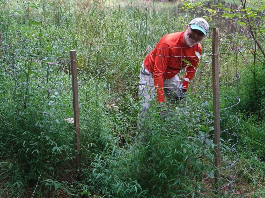 A smiling male volunteer removes invasive stiltgrass from around shrubs and trees in a meadow at the edge of a woodland.