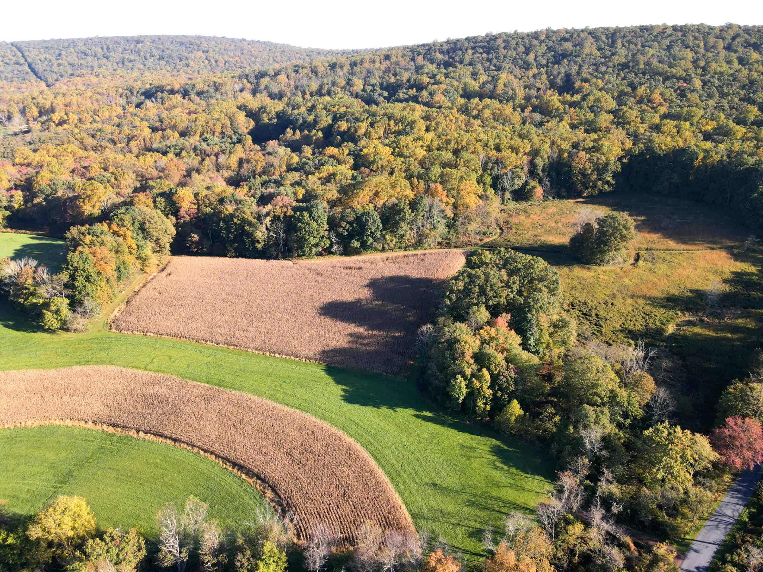 Drone photo of farm fields with forested ridges in background showing only a little bit of fall color