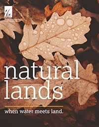 cover of Natural Lands magazine fall/winter 2021-22