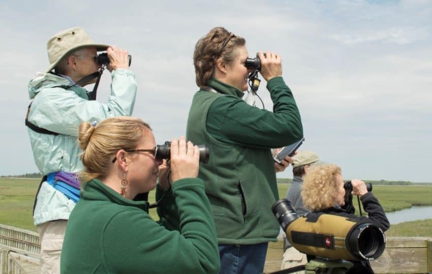 A group of women outdoors looking through binoculars.