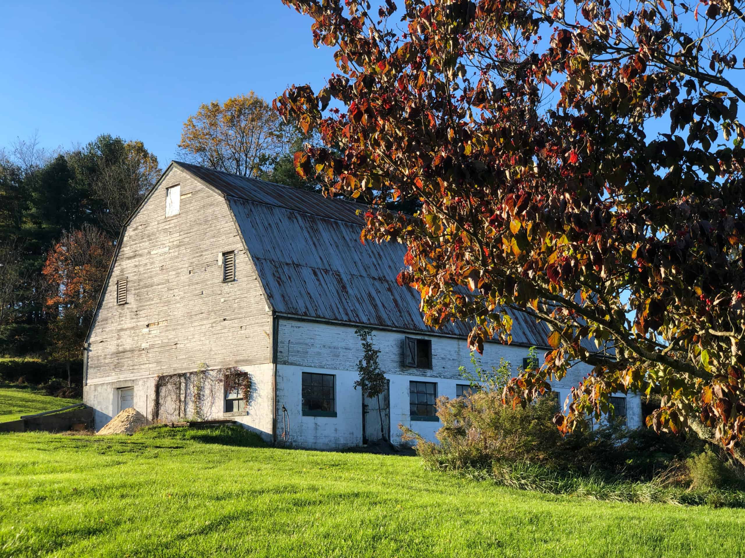 Old barn in autumn