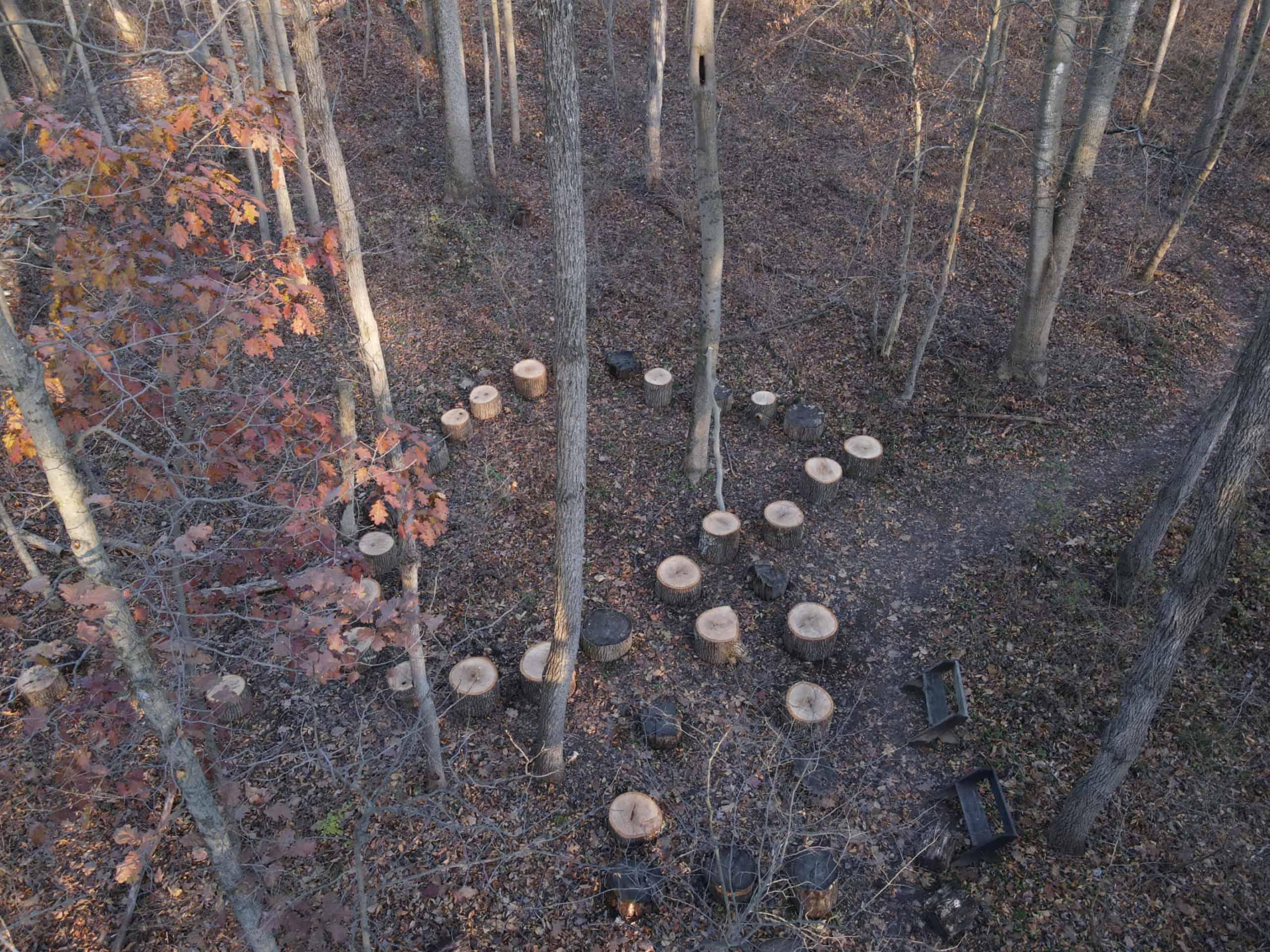 View looking down on log sections set up as a stump playground for kids in the woods