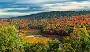 A panorama of trees in fall color with a stream cutting through the valley. Blue skies with fluffy clouds above.