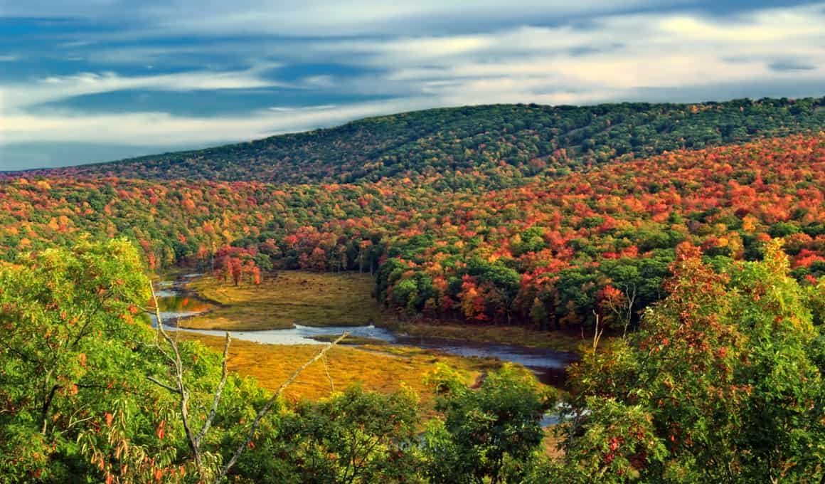 Про природно. Карбоновая Долина. Preserve nature. Pocono Lake Preserve Pennsylvania. Wide Valley.