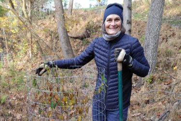 A woman in winter clothing puts her hand on a wire cage surrounding a shrub in a natural setting.