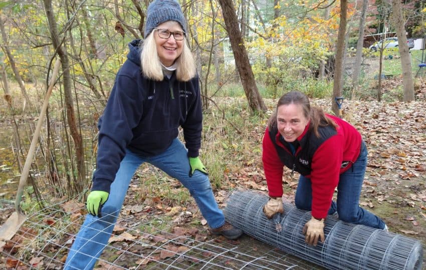 Two women unroll a metal garden cage in a natural setting.