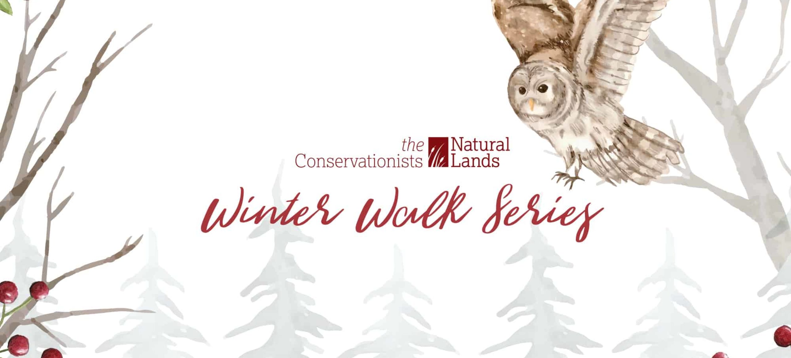 graphic barn owl banner for winter walk series