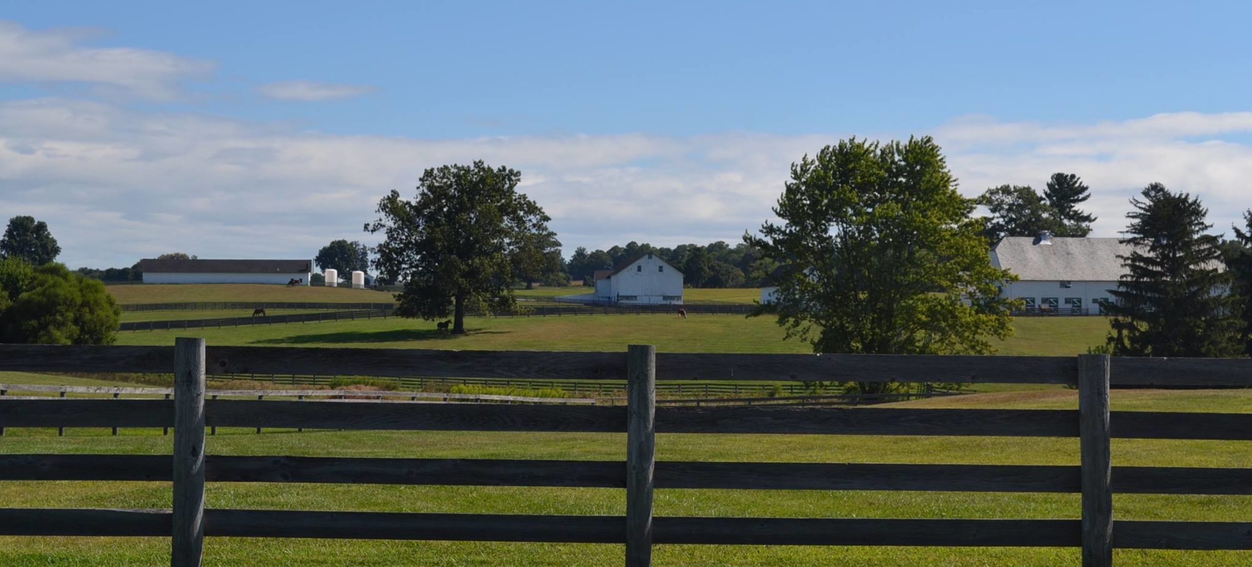 Blue skies over a pastoral farm with a split rail fence in the foreground.
