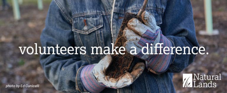 Volunteers make a difference graphic