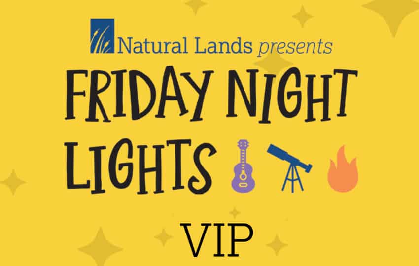 friday night lights vip graphic