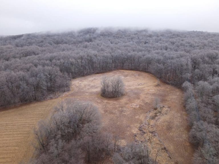 Aerial view of Chief's Grove, meadow, and forest as ice storm clears