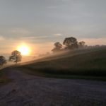 A landscape shot of a dirt path going through a grassy field with trees and fog in the background during sunrise.