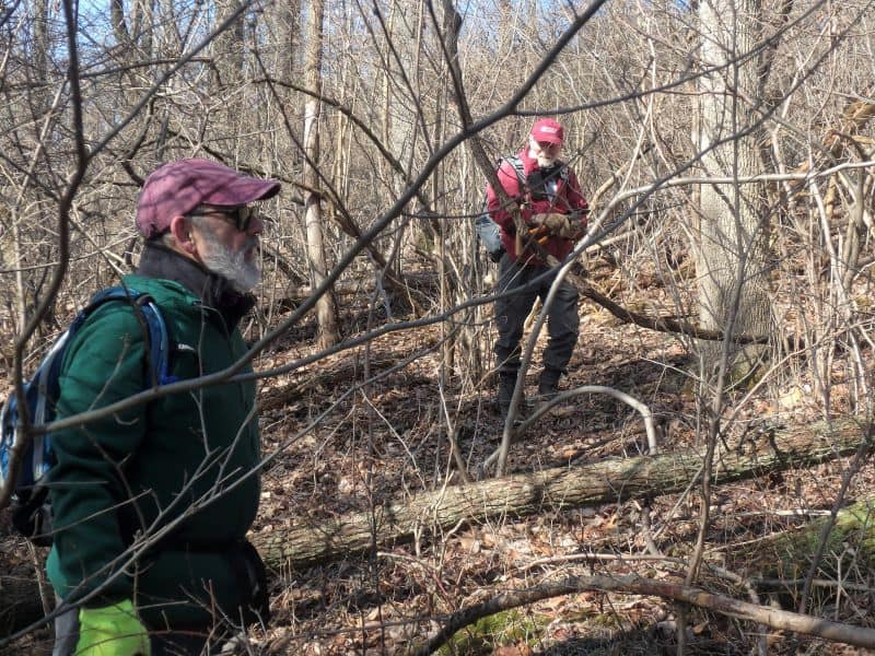 Two volunteer vine cutters standing in Mariton's woods.