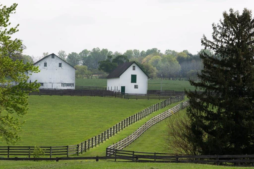 A view of Crebilly Farm is shown in Chester County, from 2019. JOSE F. MORENO / Inquirer Photographer