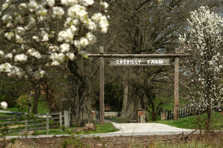 springtime photo of a white flowering tree next to a curved driveway with a "Crebilly Farm" sign overhead.