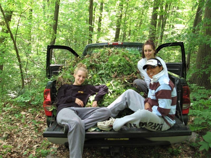 Three teenagers in a pickup truck that is full of garlic mustard they pulled.